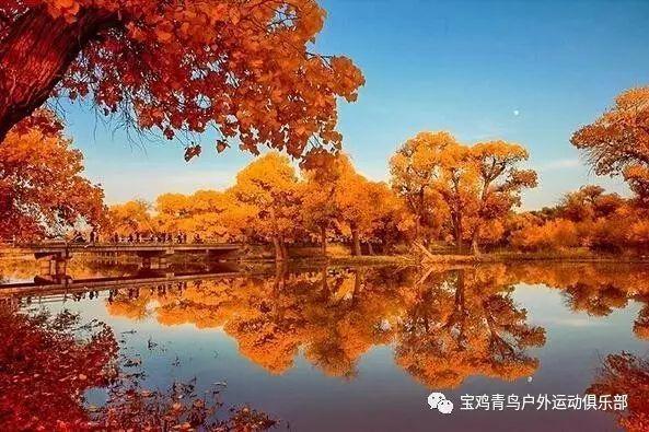 二刷《繁花》,才懂王家卫为什么用《偷心》