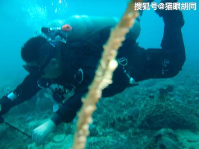 穿越迷宫