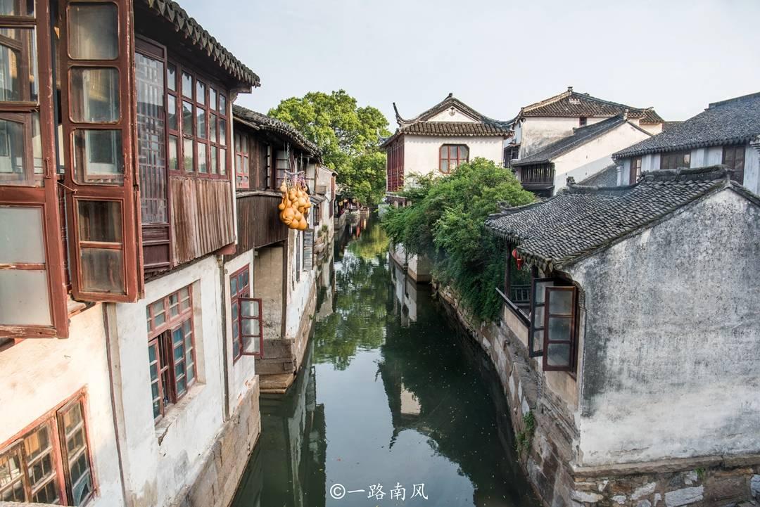 救援鹦鹉